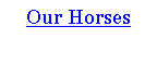 Text Box: Our Horses