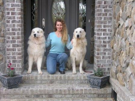 kuvasz breeders near me